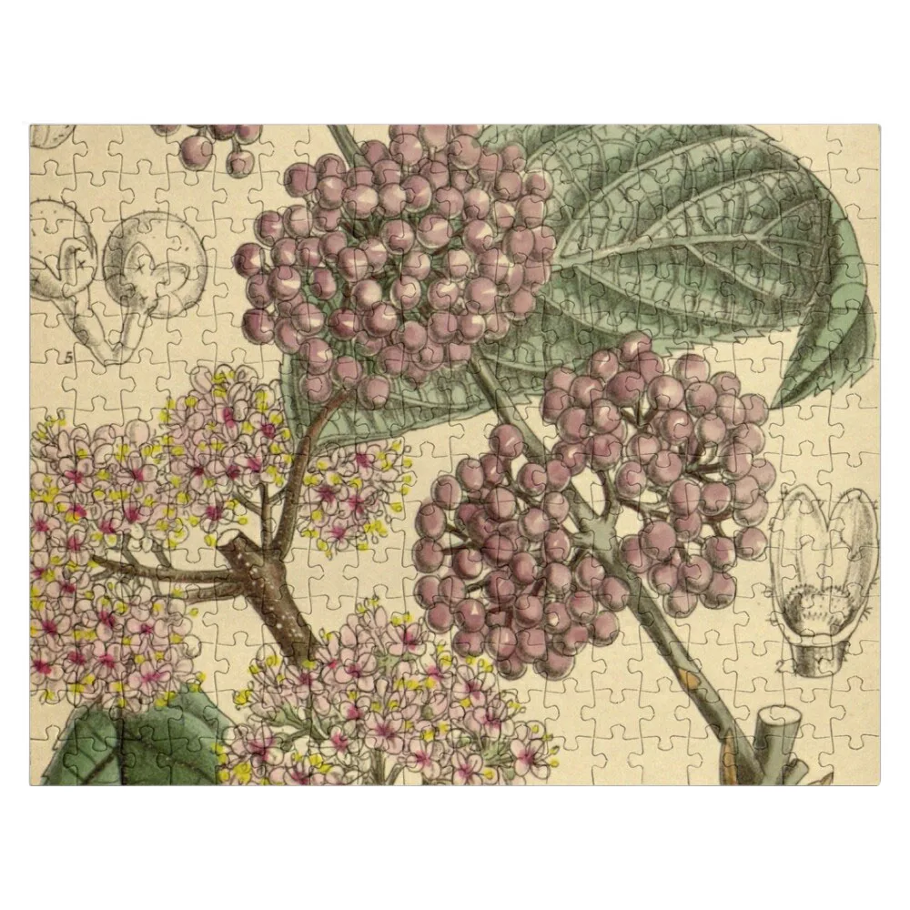 Callicarpa giraldiana 142 8682 Jigsaw Puzzle Wooden Jigsaws For Adults Wooden Boxes Custom Child For Children Puzzle
Callicarpa giraldiana 142 8682 Jigsaw Puzzle Wooden Jigsaws For Adults Wooden Boxes Custom Child For Children Puzzle