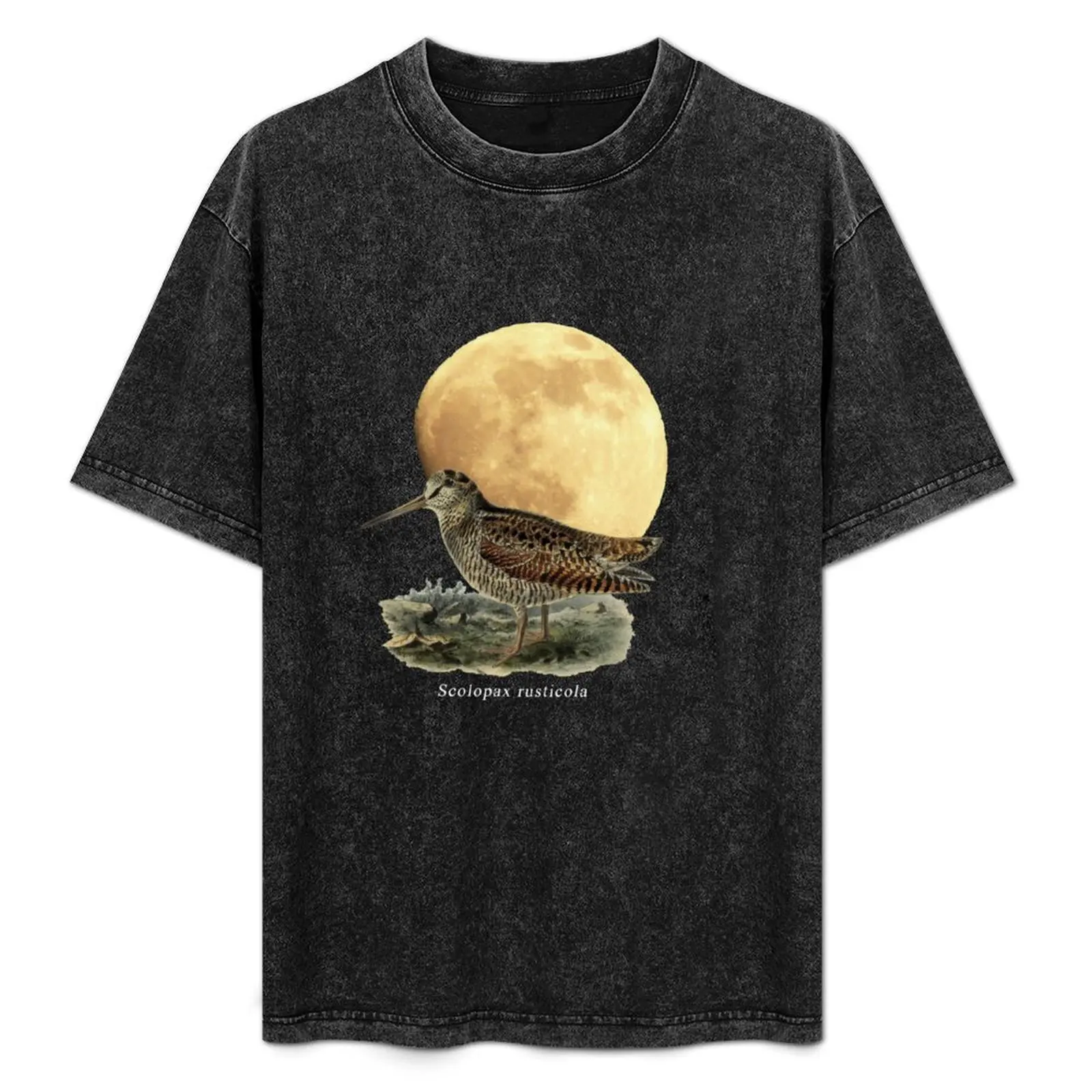 OBV - Woodcock Moon 1 T-Shirt Work Wear Lightweight Tee
OBV - Woodcock Moon 1 T-Shirt Work Wear Lightweight Tee