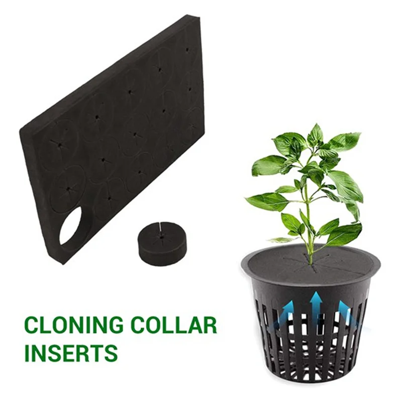 BAAG-360Pcs Garden Clone Collars Neoprene Inserts Sponge Block For 2 Inch Net Pots Hydroponics Systems And Cloning Machines
BAAG-360Pcs Garden Clone Collars Neoprene Inserts Sponge Block For 2 Inch Net Pots Hydroponics Systems And Cloning Machines