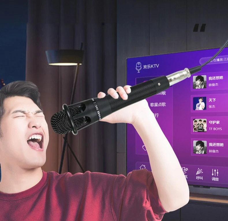 3.5mm Wired Handheld Condenser Microphone For Sound Card Live Streaming Podcast Recording