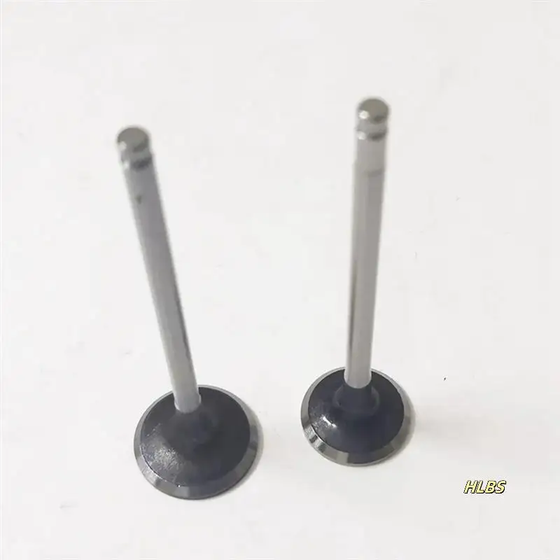 12Pcs Inlet Exhaust Valve For Citroen C3 C4 208 3008 308 HNX HNY 9801960980 539042 R6936 9807645980 9675073180
12Pcs Inlet Exhaust Valve For Citroen C3 C4 208 3008 308 HNX HNY 9801960980 539042 R6936 9807645980 9675073180