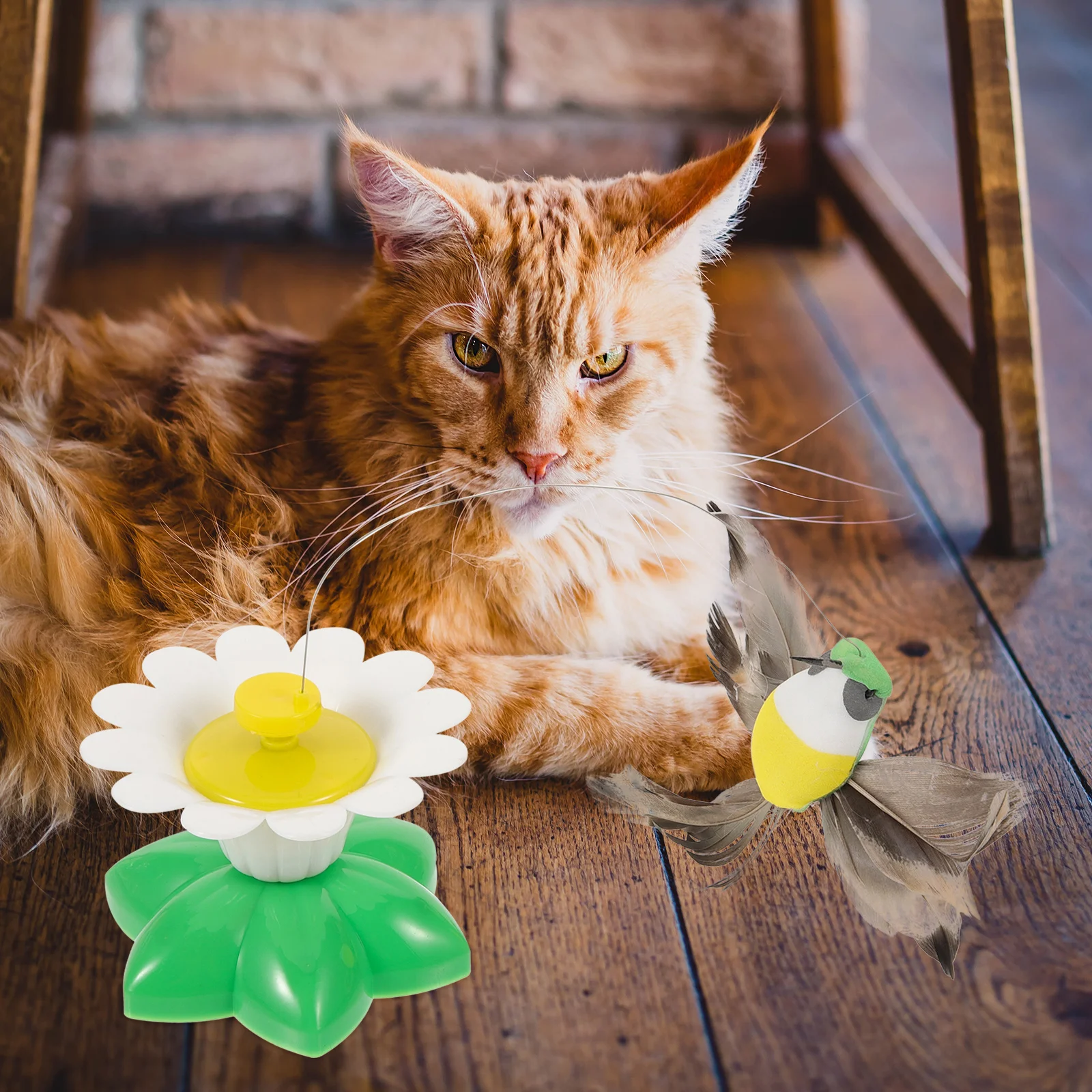 2 Pcs Pet Cat Teaser Toys Interactive Plastic for Indoor Cats Best Sellers Wand
2 Pcs Pet Cat Teaser Toys Interactive Plastic for Indoor Cats Best Sellers Wand