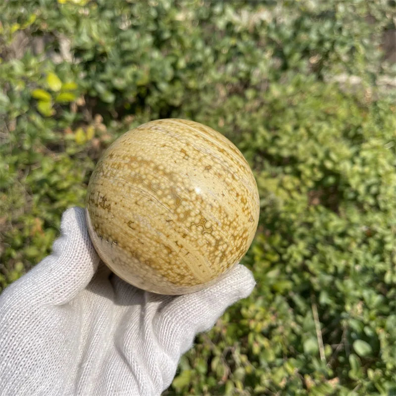 1006g natural crystal stone ball polished ocean jasper crystal sphere for decoration
1006g natural crystal stone ball polished ocean jasper crystal sphere for decoration