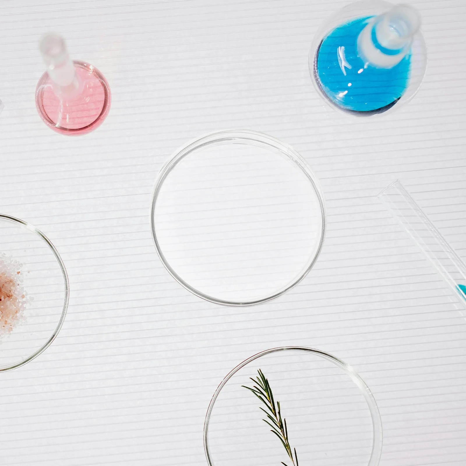 Glass Petri Culturing Dish Flat Bottom for Tissue Cell Culture Laboratory Agar Mushroom Plates Science Supplies
Glass Petri Culturing Dish Flat Bottom for Tissue Cell Culture Laboratory Agar Mushroom Plates Science Supplies