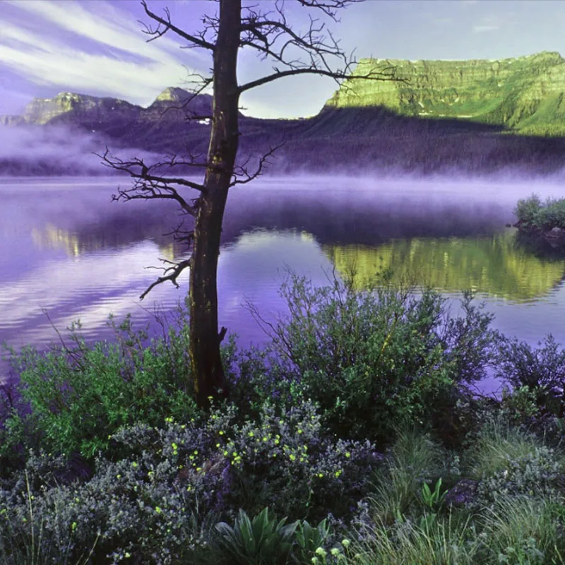 T-HOBBYT-motor BPP-4D Pro Combo (am40 Brushless Motor Poff3P 16A ESC Jett8542 Prop) for Rigid Wing Drone
T-HOBBYT-motor BPP-4D Pro Combo (am40 Brushless Motor Poff3P 16A ESC Jett8542 Prop) for Rigid Wing Drone