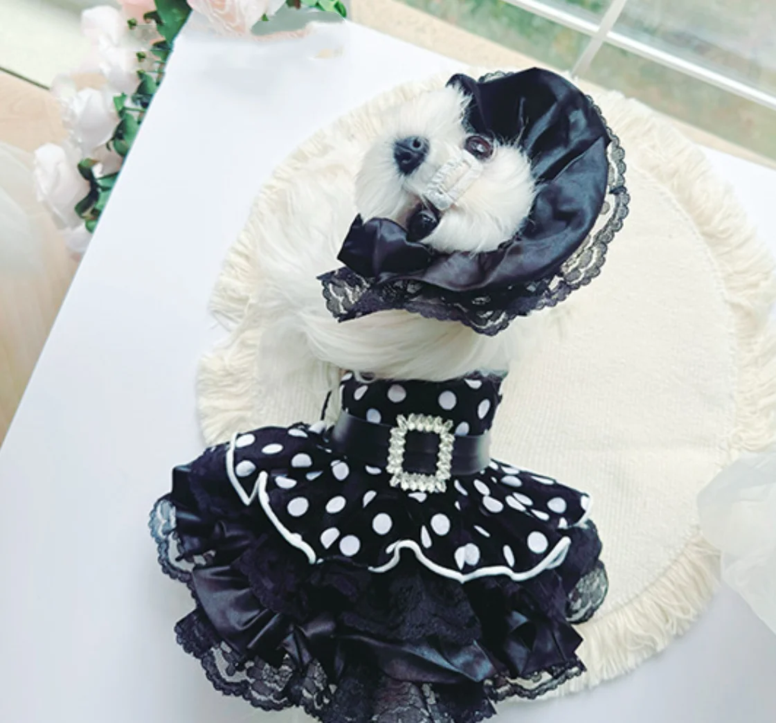 Elegant Retro Polka Dot Pet Dress Set | Classic Fashion Lace Ruffle Dog Skirt Suit for Fashionable Small Pets
Elegant Retro Polka Dot Pet Dress Set | Classic Fashion Lace Ruffle Dog Skirt Suit for Fashionable Small Pets