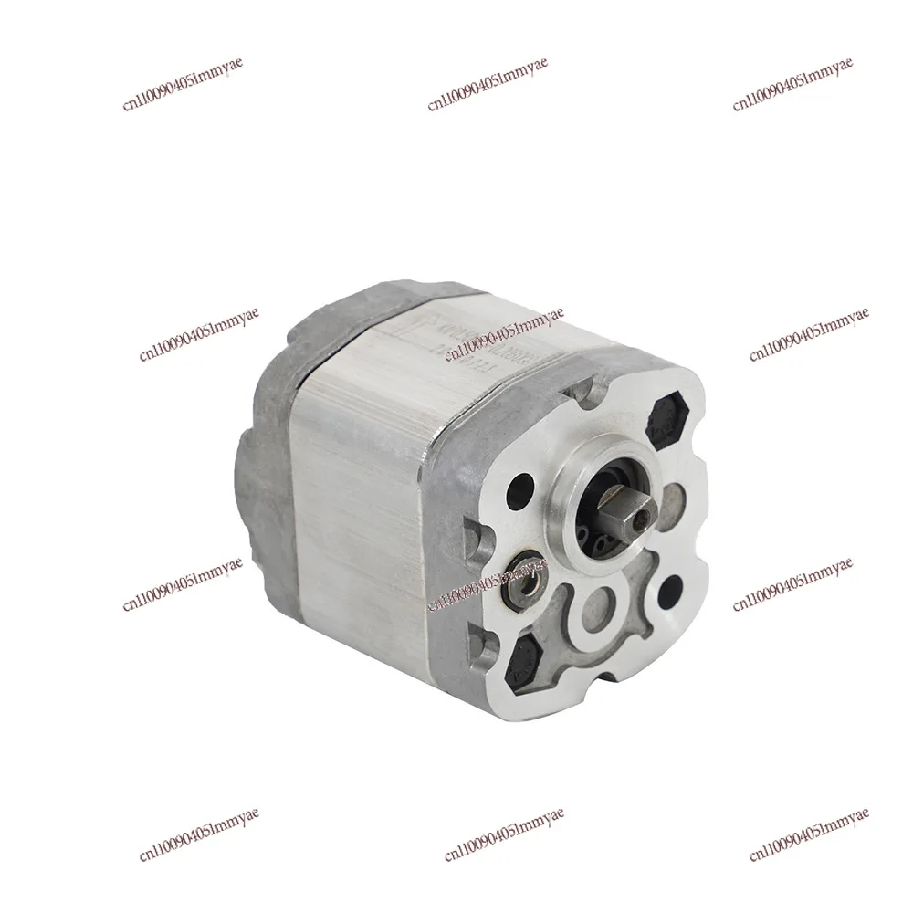 Flat Key Shaft Extension After Side Entry Oil Outlet Hydraulic Pump Hydraulic Lift System Automobile Lift Gear Pump
Flat Key Shaft Extension After Side Entry Oil Outlet Hydraulic Pump Hydraulic Lift System Automobile Lift Gear Pump