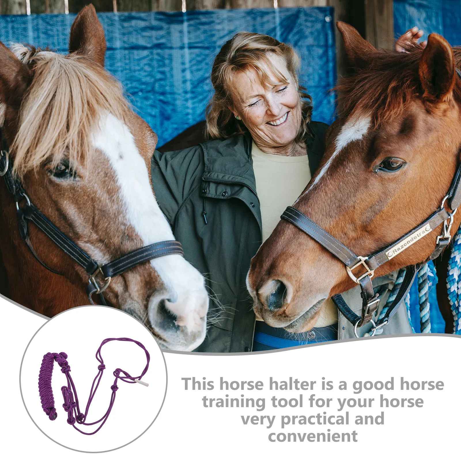 Плетеная веревочная уздечка для конного спорта, регулируемая, с функцией отрыва, удобный аксессуар
Плетеная веревочная уздечка для конного спорта, регулируемая, с функцией отрыва, удобный аксессуар