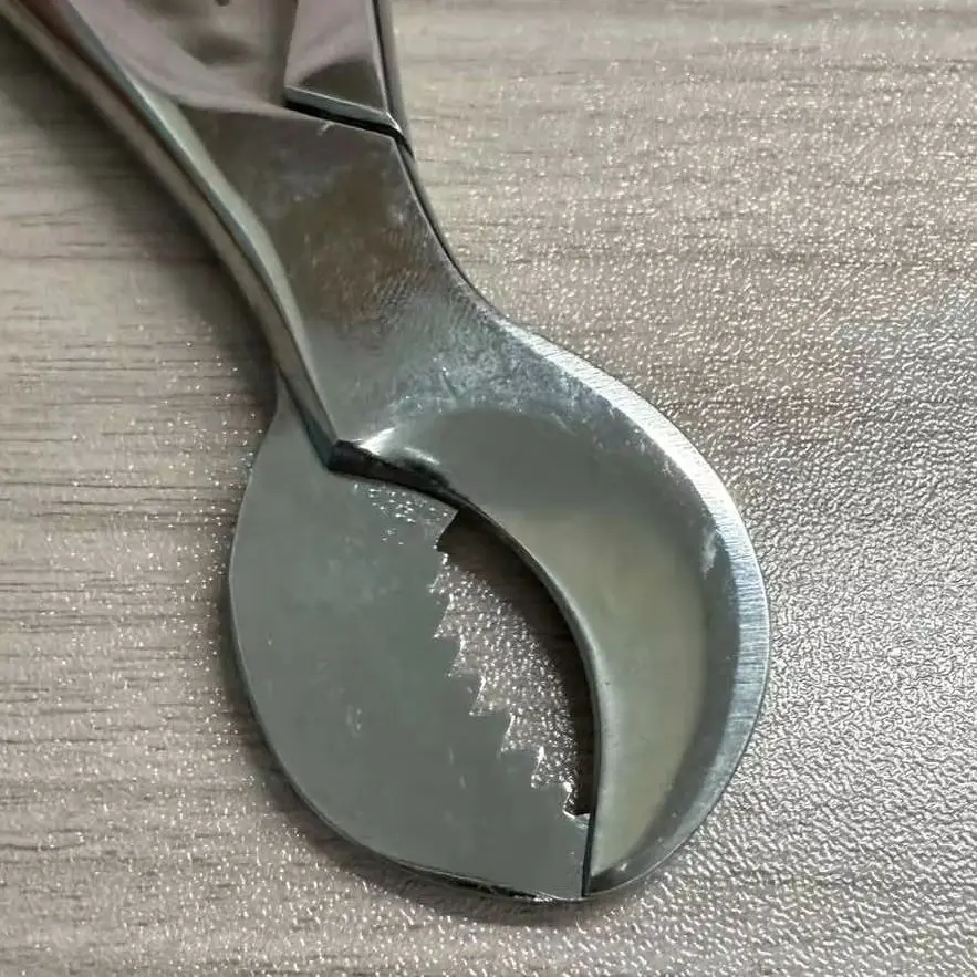 Cutter Dental Lab Equipment Stainless Steel Dental Plaster Scissors Gypsum Scissors Dentistry Material Plaster
Cutter Dental Lab Equipment Stainless Steel Dental Plaster Scissors Gypsum Scissors Dentistry Material Plaster