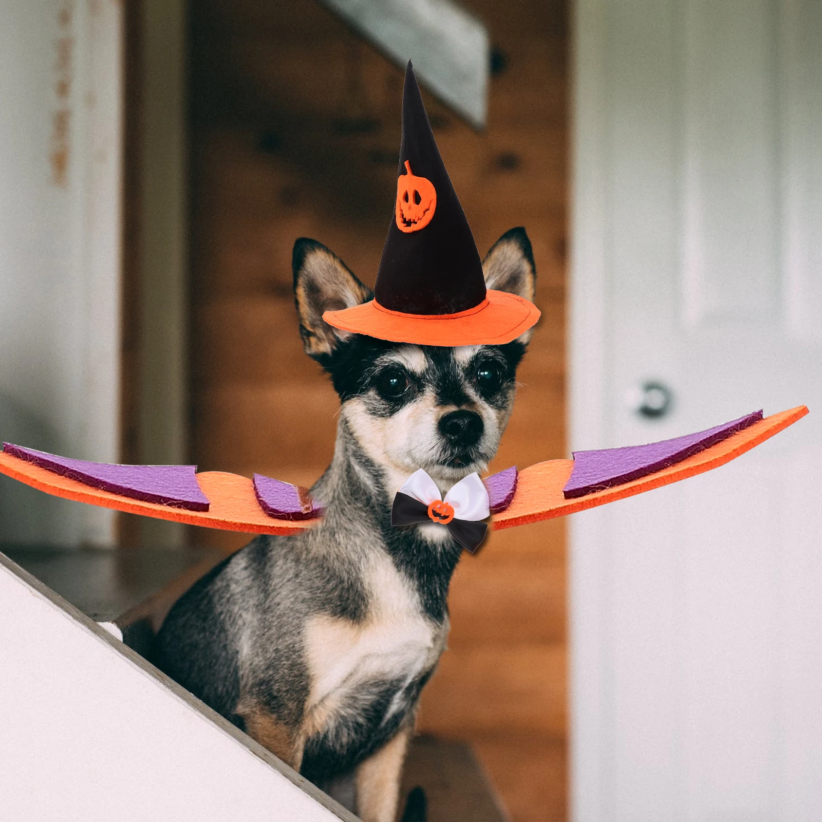 Lovely Bat Winged Pumpkin Hat Halloween Costume For Dogs Reusable Durable Premium Non Woven Cloth Party Wing Costume Set Pet
Lovely Bat Winged Pumpkin Hat Halloween Costume For Dogs Reusable Durable Premium Non Woven Cloth Party Wing Costume Set Pet