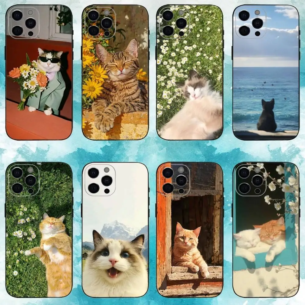 C-Cute Animal cat Phone Case For iPhone 17, 16,15,14,13,12,11 X XR Plus,Pro Max, Others Soft Black Cover
C-Cute Animal cat Phone Case For iPhone 17, 16,15,14,13,12,11 X XR Plus,Pro Max, Others Soft Black Cover
