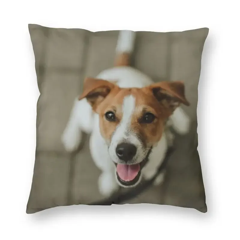 Jack Russell Terrier Cushion Covers Sofa Bed Cute Animal Pet Square Throw Pillow Case 45x45cm Decoration
Jack Russell Terrier Cushion Covers Sofa Bed Cute Animal Pet Square Throw Pillow Case 45x45cm Decoration