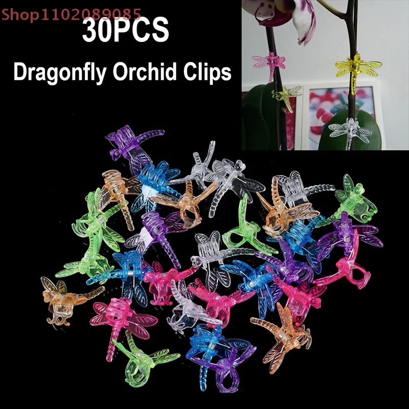 30Pcs Dragonfly Orchid Clips Orchid Grower Support Garden Plant Vine Clips
30Pcs Dragonfly Orchid Clips Orchid Grower Support Garden Plant Vine Clips