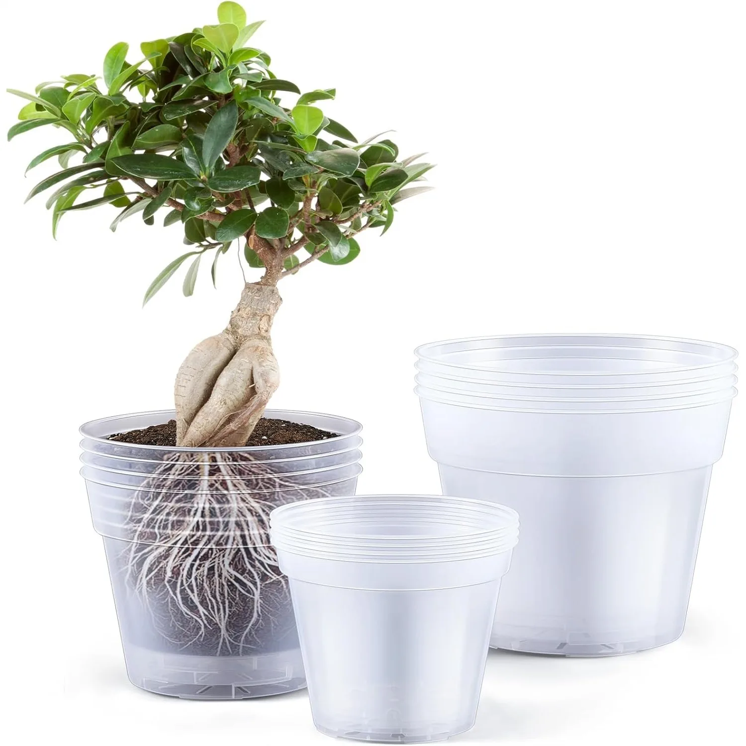 12 Pcs Clear Nursery Pots with Drainage Holes, 8/10/12 Inch Thickened Plastic Planters for Indoor Plants Succulents
12 Pcs Clear Nursery Pots with Drainage Holes, 8/10/12 Inch Thickened Plastic Planters for Indoor Plants Succulents