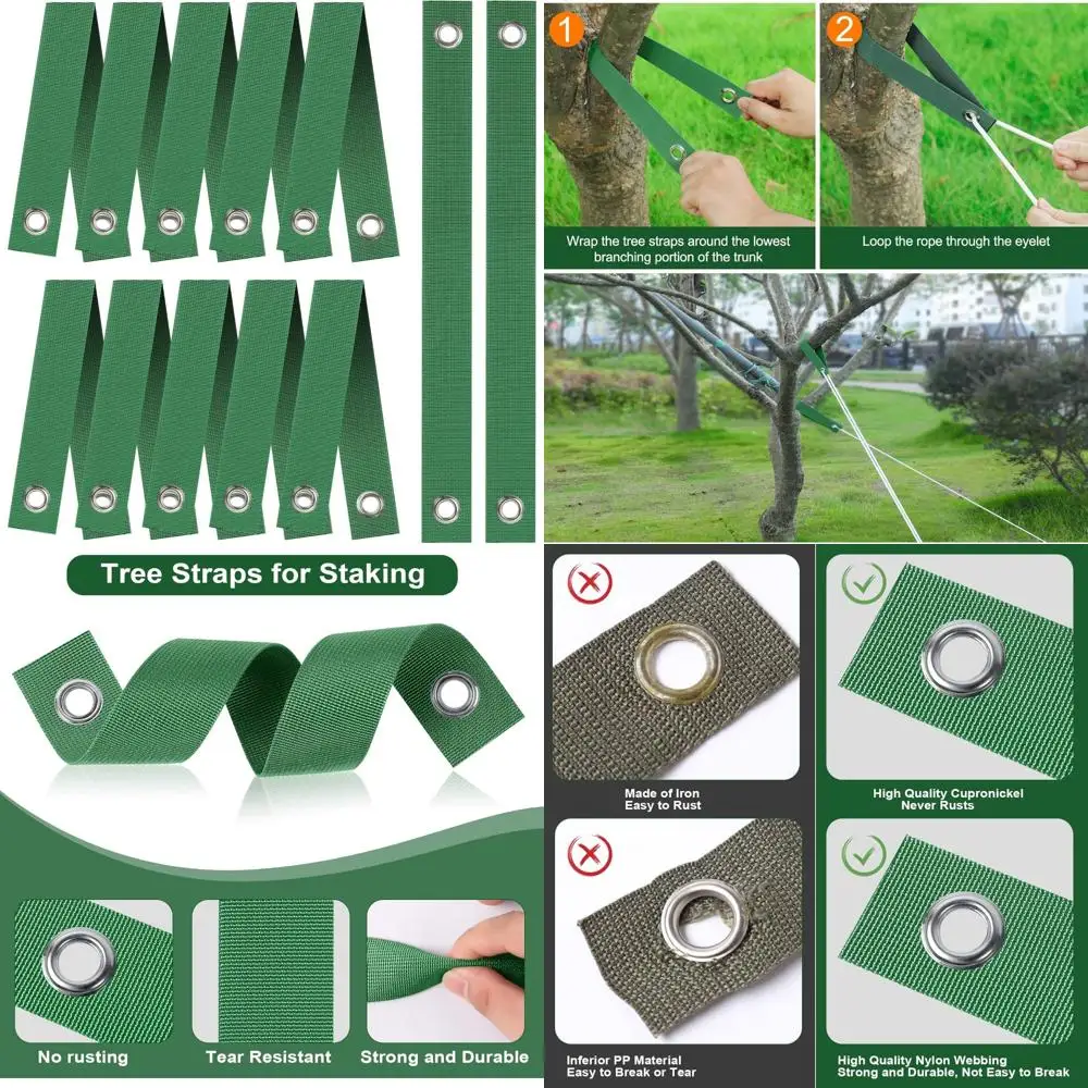 Сверхмощные устойчивые к ржавчине нейлоновые ремни для замыкания, выпрямления и защиты деревьев — 150 шт., зеленые,
Сверхмощные устойчивые к ржавчине нейлоновые ремни для замыкания, выпрямления и защиты деревьев — 150 шт., зеленые,