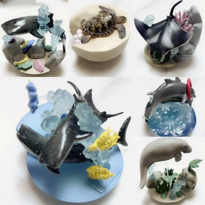 QUALIA Kawaii Gashapon Figure Cute Okinawa Mikai Aquarium Marine Animal Whale Sea Turtle Capsule Toys Anime Figurine Gift
QUALIA Kawaii Gashapon Figure Cute Okinawa Mikai Aquarium Marine Animal Whale Sea Turtle Capsule Toys Anime Figurine Gift