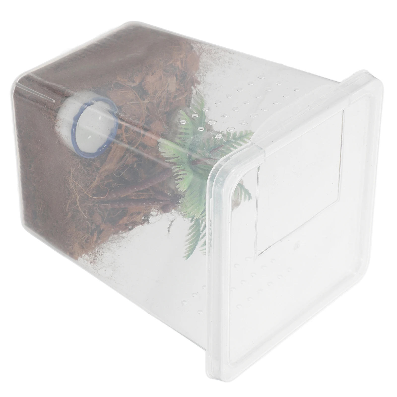 Spider Box Jumping Spider Feeding Container Escapeproof Transparent Plastic Cage Breeding Enclosure Small Design Easy
Spider Box Jumping Spider Feeding Container Escapeproof Transparent Plastic Cage Breeding Enclosure Small Design Easy