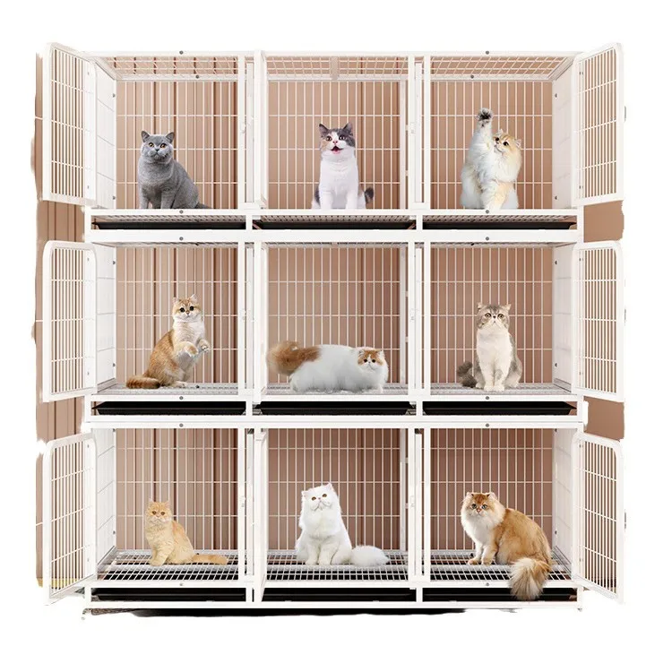 New Product High-quality Steel Wire Galvanized Large Space Bird Cage Dog cat Cage cat House
New Product High-quality Steel Wire Galvanized Large Space Bird Cage Dog cat Cage cat House