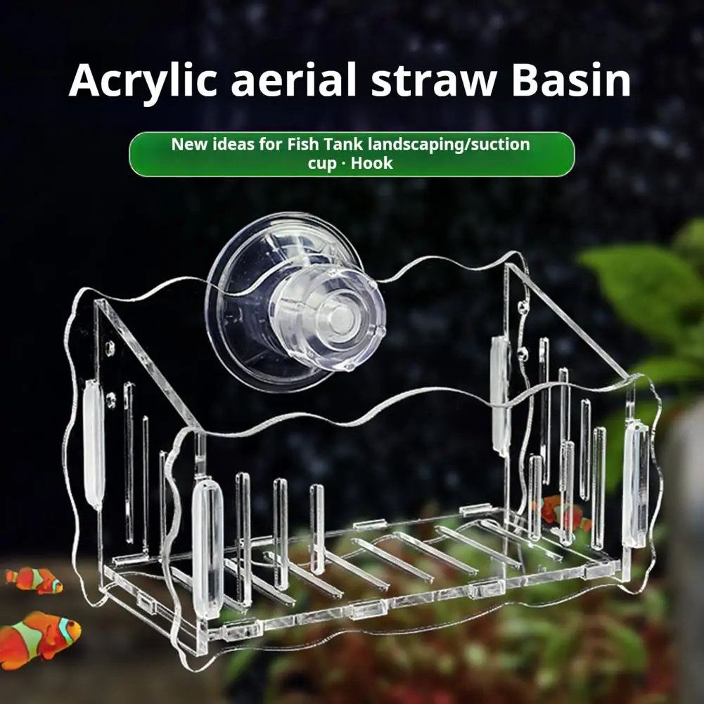 Aquarium Plant Holder Hanging Fish Tank Plant Pot with Suction Cups Clear Potting Rack Acrylic Aquatic Planter Cup Flower Rack
Aquarium Plant Holder Hanging Fish Tank Plant Pot with Suction Cups Clear Potting Rack Acrylic Aquatic Planter Cup Flower Rack