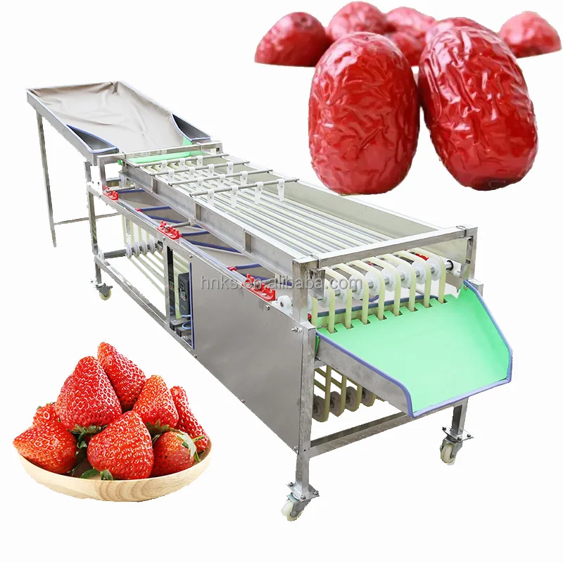 Orbital Type Fruit Automatic Sorting Machine Blueberry Strawberry Raspberry Size Grading Machine No Harm for Fruit Skin
Orbital Type Fruit Automatic Sorting Machine Blueberry Strawberry Raspberry Size Grading Machine No Harm for Fruit Skin