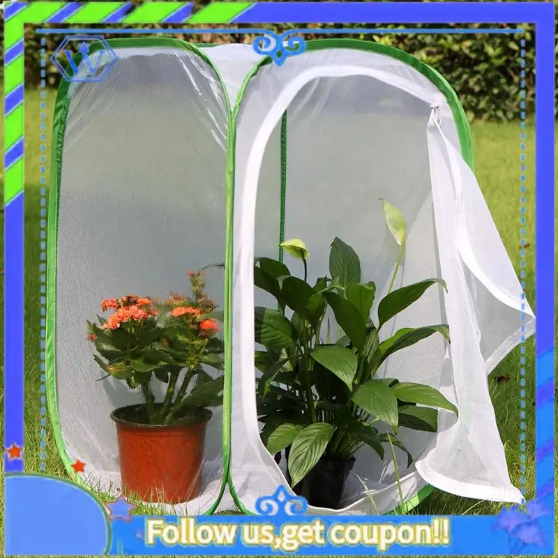 Easy To Use 2-Pack Insect And Butterfly Habitat Cage Terrarium -Up Butterfly Enclosure (2 X 15.7 X 15.7 X 23.6Inch) White+Gre
Easy To Use 2-Pack Insect And Butterfly Habitat Cage Terrarium -Up Butterfly Enclosure (2 X 15.7 X 15.7 X 23.6Inch) White+Gre