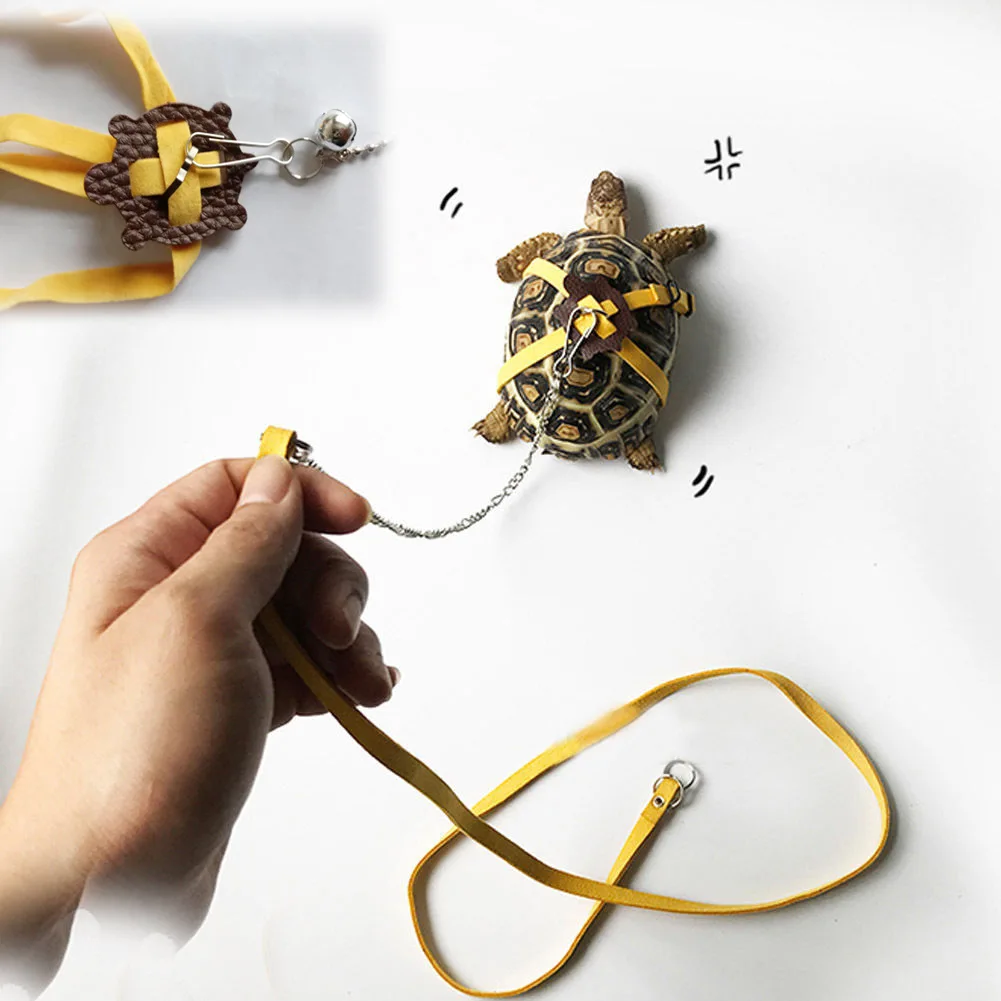 Small Pet Turtle and Turtle Traction Rope Outdoor Traction Belt Training Rope Small Animals Pet Accessories
Small Pet Turtle and Turtle Traction Rope Outdoor Traction Belt Training Rope Small Animals Pet Accessories