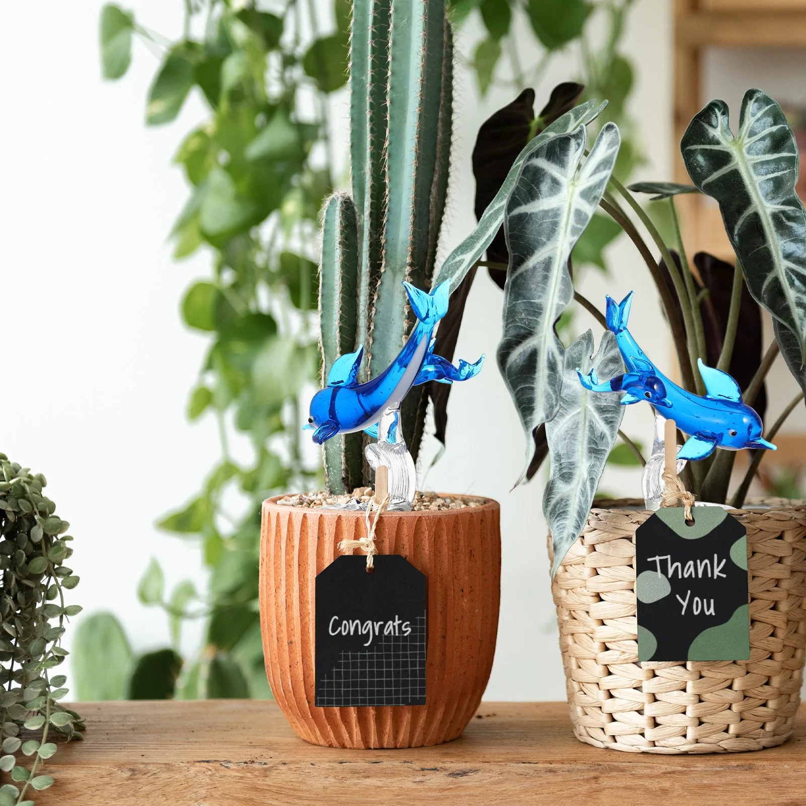 1Pcs Dolphin Ornament Crystal Clear Handcrafted Glass Creative Desktop Decoration for Room Showcase Accents Dolphin Ornament
1Pcs Dolphin Ornament Crystal Clear Handcrafted Glass Creative Desktop Decoration for Room Showcase Accents Dolphin Ornament