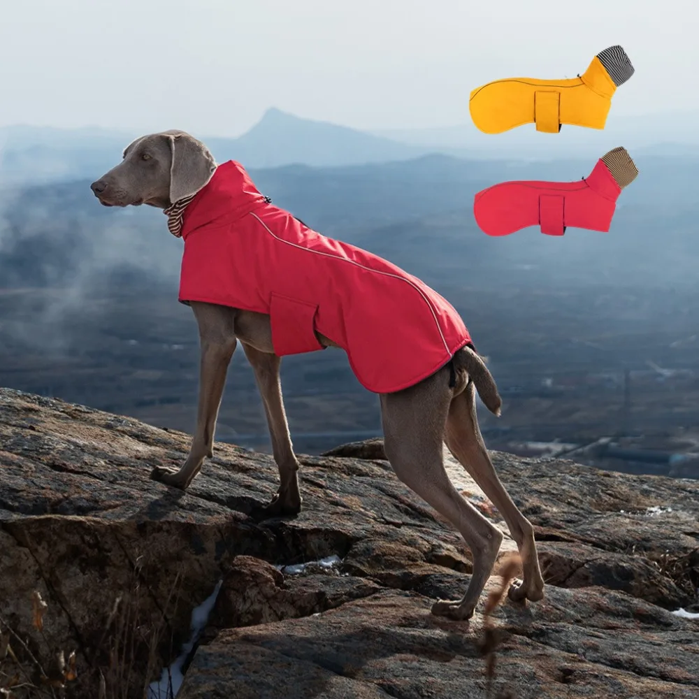 Double neck cape style dog jacket, waterproof running coat for dogs, winter warm clothes for dogs, snow clothes for large dogs
Double neck cape style dog jacket, waterproof running coat for dogs, winter warm clothes for dogs, snow clothes for large dogs