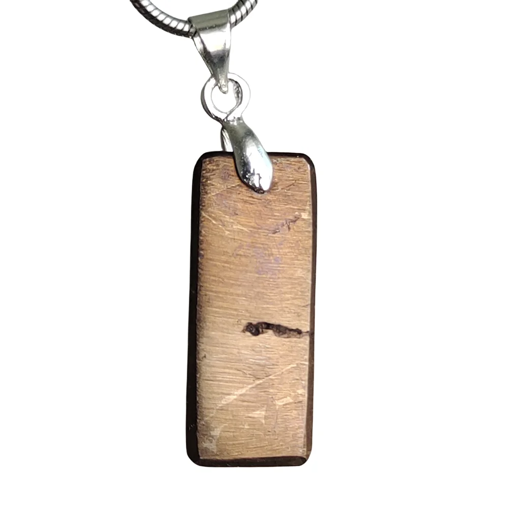 Muonionalusta Iron Meteorite Specimen Natural Iron Meteorite Material Pendant Collection - TD165
Muonionalusta Iron Meteorite Specimen Natural Iron Meteorite Material Pendant Collection - TD165