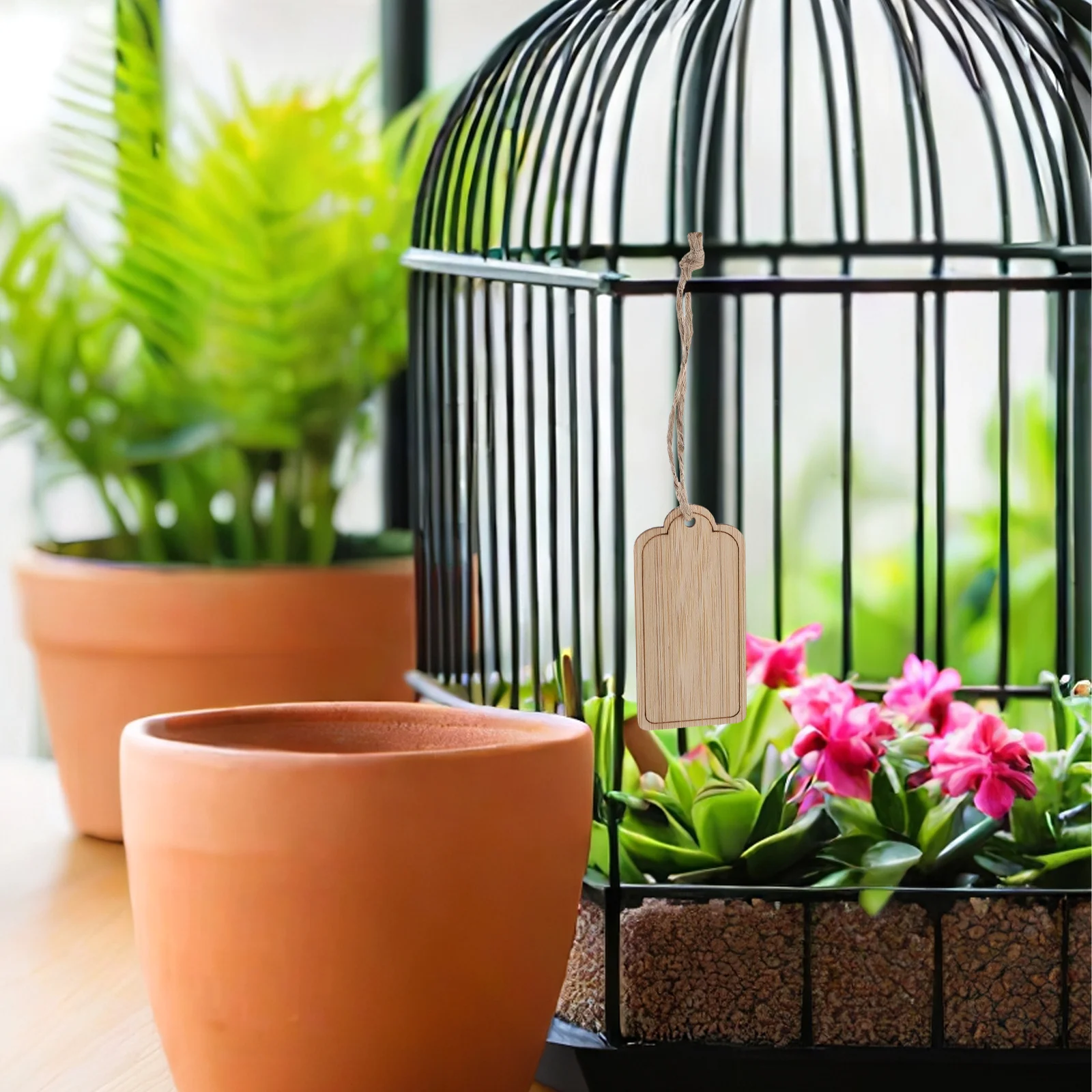 10Pcs Handcrafted Bamboo Plant Tags Reusable Hanging Labels for Garden Flowers Vegetables Outdoor Potted Plant Marker Signs DIY
10Pcs Handcrafted Bamboo Plant Tags Reusable Hanging Labels for Garden Flowers Vegetables Outdoor Potted Plant Marker Signs DIY