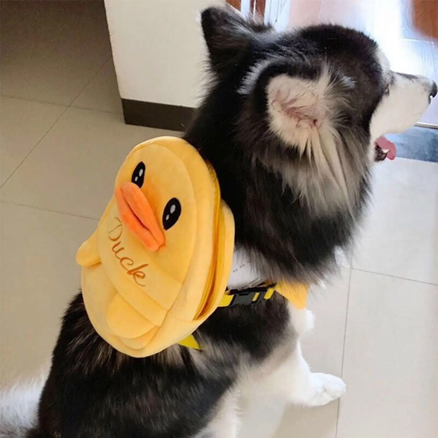 Alaska Special Dog Backpack Outdoors Self-Back Samoyed Large Dog Double Shoulder Bag Pet Supplies Dog Accessories Daily Use
Alaska Special Dog Backpack Outdoors Self-Back Samoyed Large Dog Double Shoulder Bag Pet Supplies Dog Accessories Daily Use
