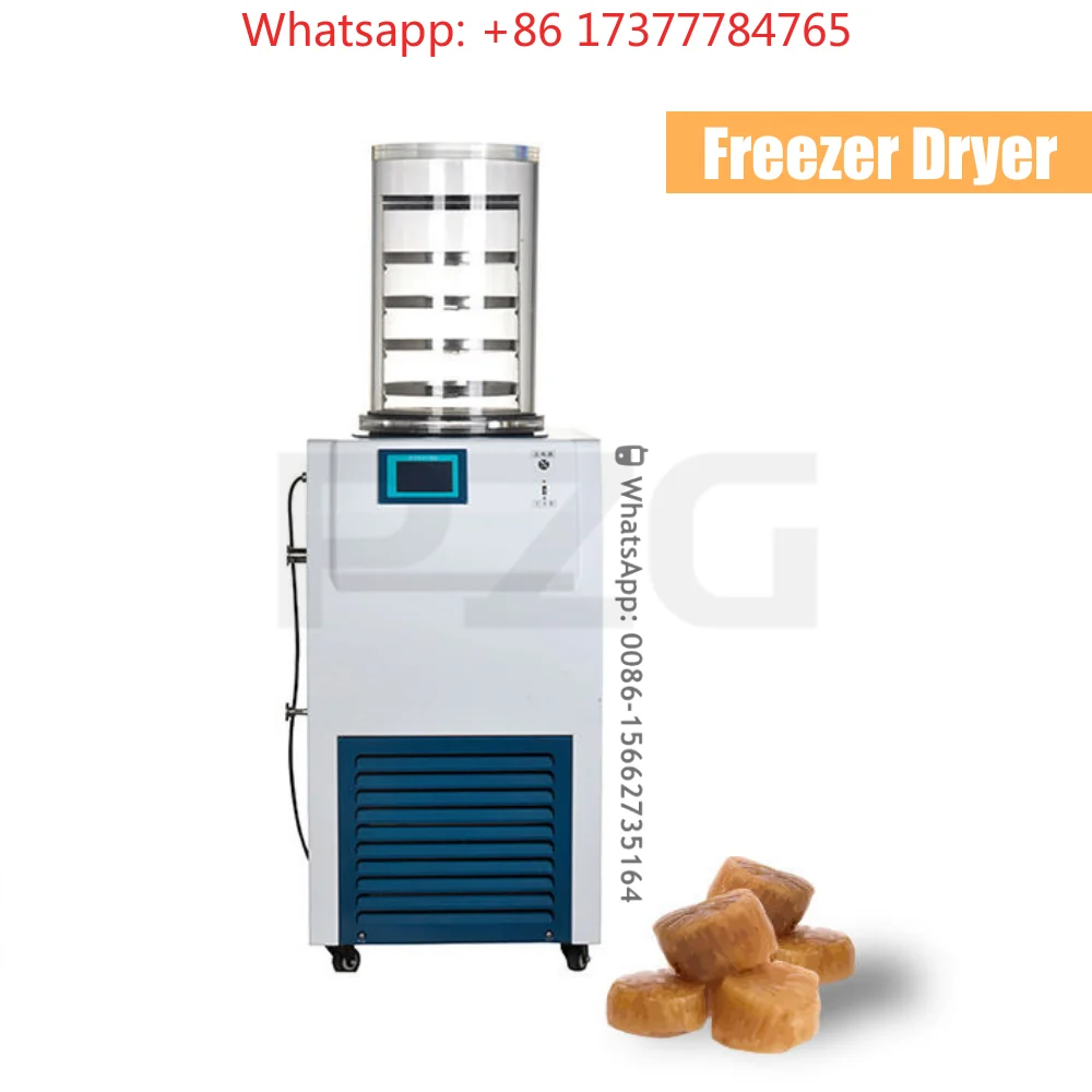 Drying Equipment Vacuum Lyophilizer Vertical Pharmacy Chemical Lab Dryer
Drying Equipment Vacuum Lyophilizer Vertical Pharmacy Chemical Lab Dryer