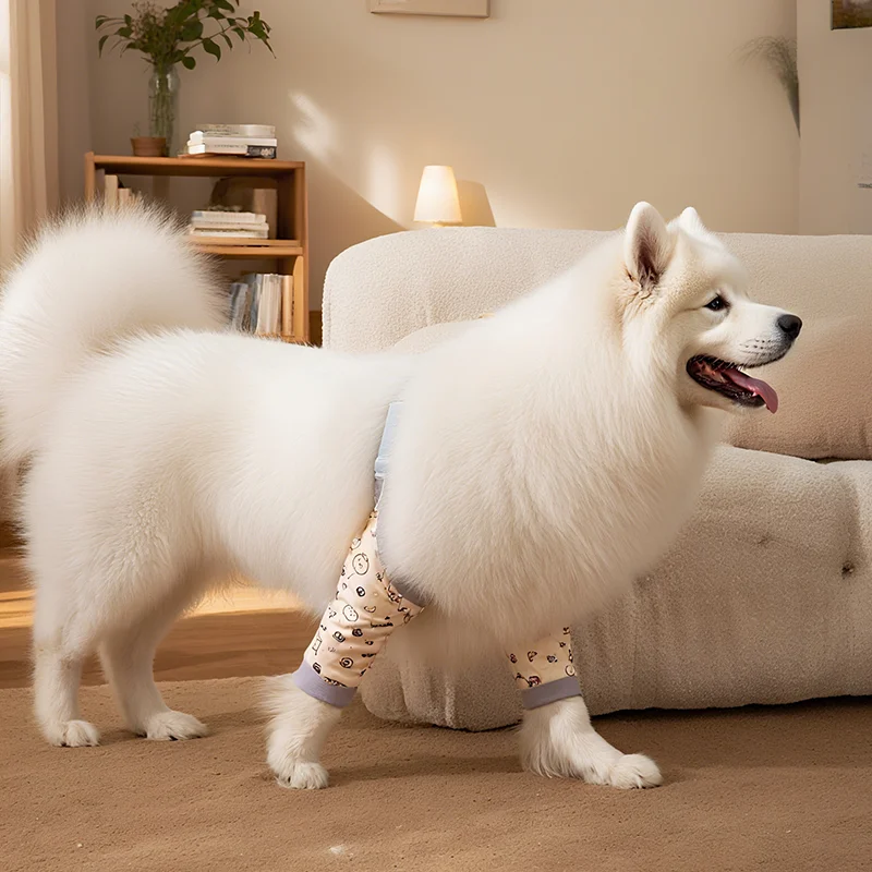 Защитная одежда для локтей самоедской собаки, тонкий летний чехол для суставов, наколенники для домашних животных, золотистый ретривер, бордер-колли, средние и большие собаки
Защитная одежда для локтей самоедской собаки, тонкий летний чехол для суставов, наколенники для домашних животных, золотистый ретривер, бордер-колли, средние и большие собаки