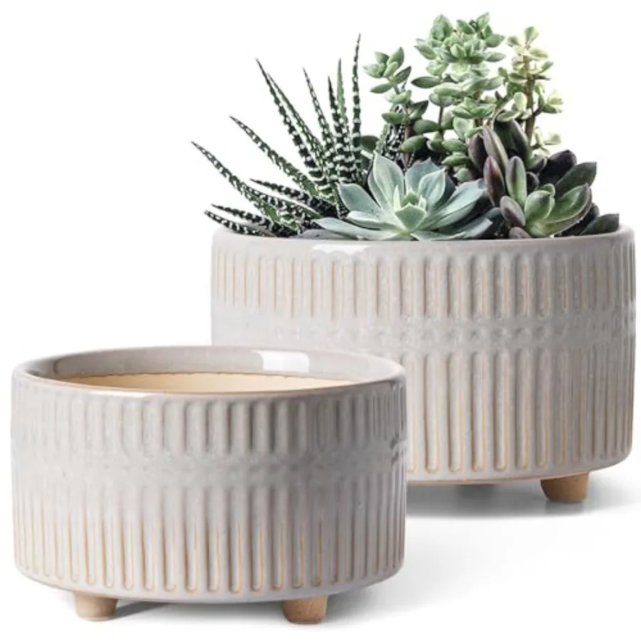 Succulent Pots, 6.5+8 Inch Ceramic Indoor Plant Pot with Drainage Hole, Shallow Round Succulent Planters, Set of 2
Succulent Pots, 6.5+8 Inch Ceramic Indoor Plant Pot with Drainage Hole, Shallow Round Succulent Planters, Set of 2