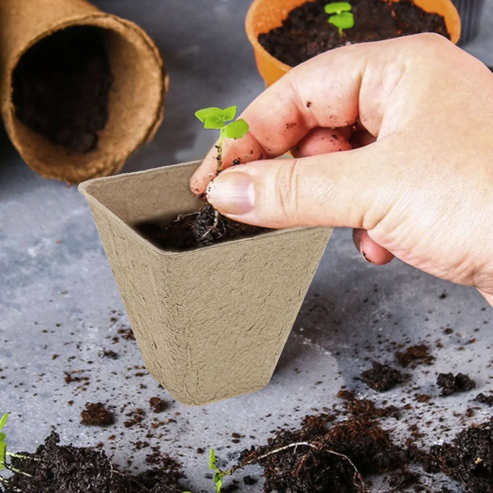 1 set Paper Flower Small Nursery Pots With Drainage Holes Garden Supplies For Indoor Outdoor Planting Succulent Plant Containers
1 set Paper Flower Small Nursery Pots With Drainage Holes Garden Supplies For Indoor Outdoor Planting Succulent Plant Containers