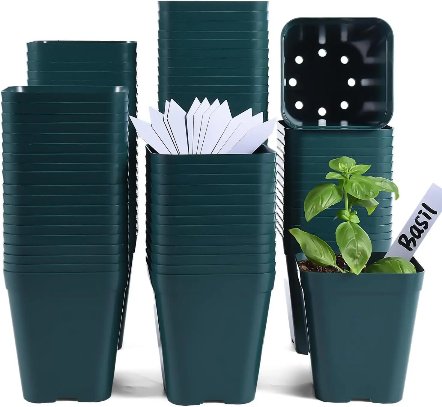 Small Seedling Pots 4 Inch, 100 Pcs Square Plant Pots Bulk, Plastic Nursery Pots with Drain Holes for Seedlings, Succule
Small Seedling Pots 4 Inch, 100 Pcs Square Plant Pots Bulk, Plastic Nursery Pots with Drain Holes for Seedlings, Succule