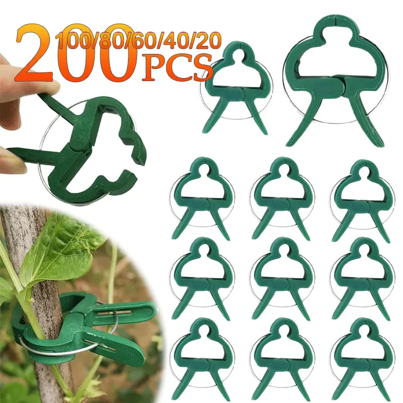 20-200PCS S/L Garden Vine Strapping Clips Plant Bundled Buckle Ring Holder Tomato Garden Plant Stand Tool Garden Decoration 
20-200PCS S/L Garden Vine Strapping Clips Plant Bundled Buckle Ring Holder Tomato Garden Plant Stand Tool Garden Decoration
