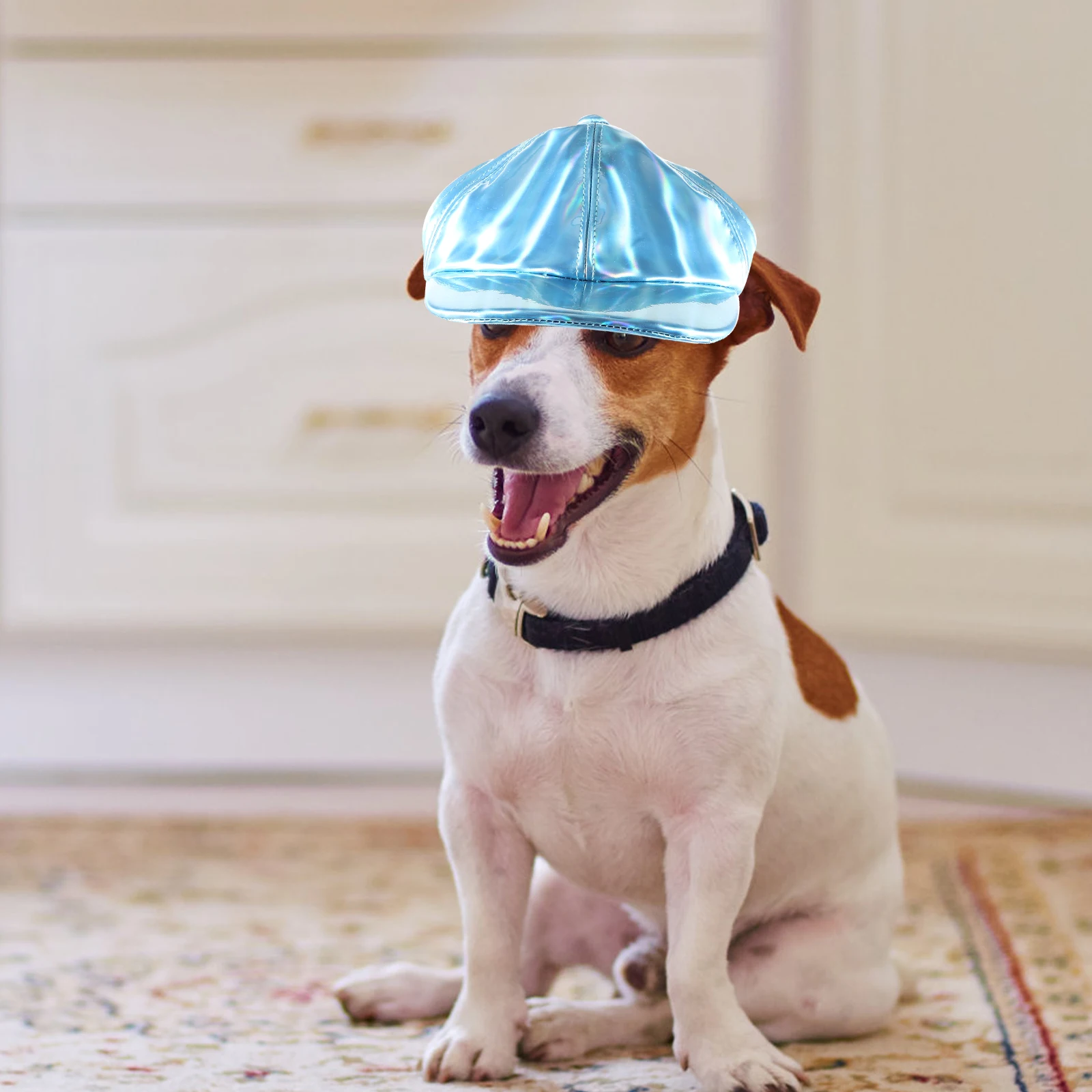 Dog Cap Headwear Hat Puppy Baseball Spring and Summer Cute Hats for Small Accessory
Dog Cap Headwear Hat Puppy Baseball Spring and Summer Cute Hats for Small Accessory