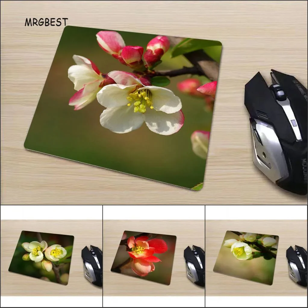 MRGBEST Small Size Mouse-pad In Stock beauty Begonia flowers Desk Mats Comfortable Non-slip Square Mousepad for Gamer
MRGBEST Small Size Mouse-pad In Stock beauty Begonia flowers Desk Mats Comfortable Non-slip Square Mousepad for Gamer