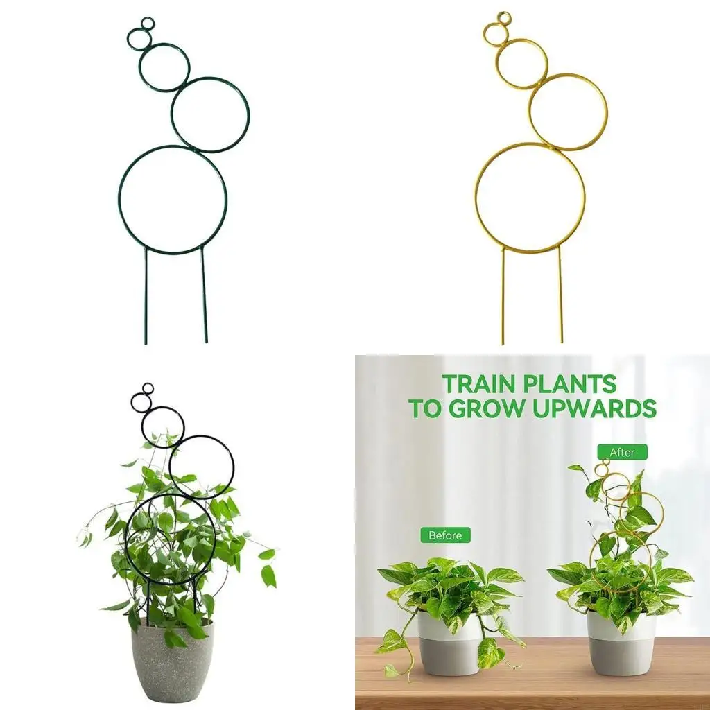 Round Trellis for Potted Plant 14” Tall Garden Trellis for Climbing Plant Rack
Round Trellis for Potted Plant 14” Tall Garden Trellis for Climbing Plant Rack