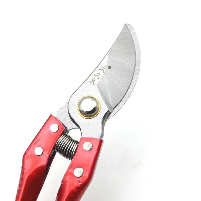 Pruning Scissors for Bonsai, Fruit Trees, Flowers, Branches Garden Pruners
Pruning Scissors for Bonsai, Fruit Trees, Flowers, Branches Garden Pruners