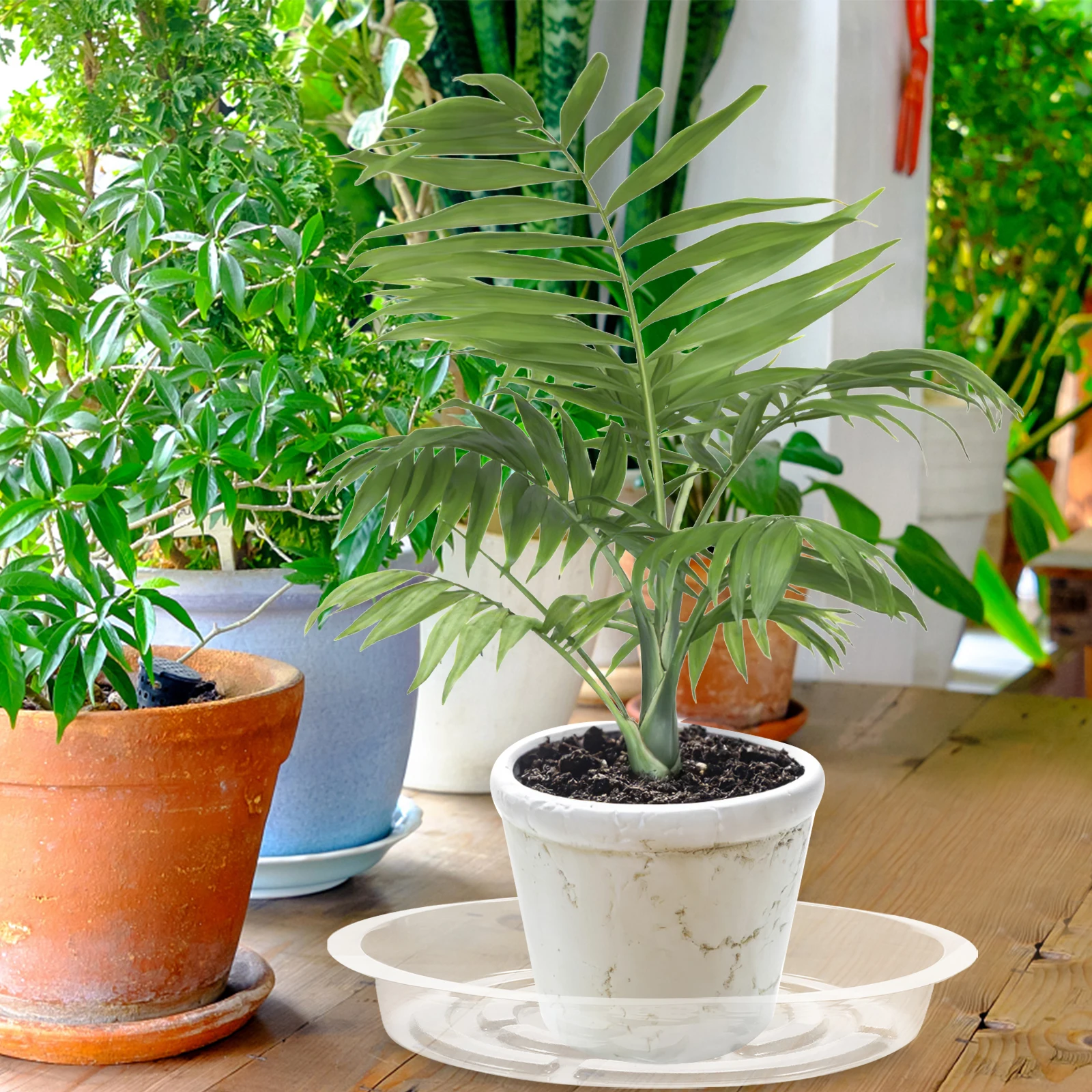 10 Pcs Plant Saucers Transparent Flower Pot Trays Small Drip Round Shaped Clear PET Practical Durable Water Leakage Stable Base
10 Pcs Plant Saucers Transparent Flower Pot Trays Small Drip Round Shaped Clear PET Practical Durable Water Leakage Stable Base