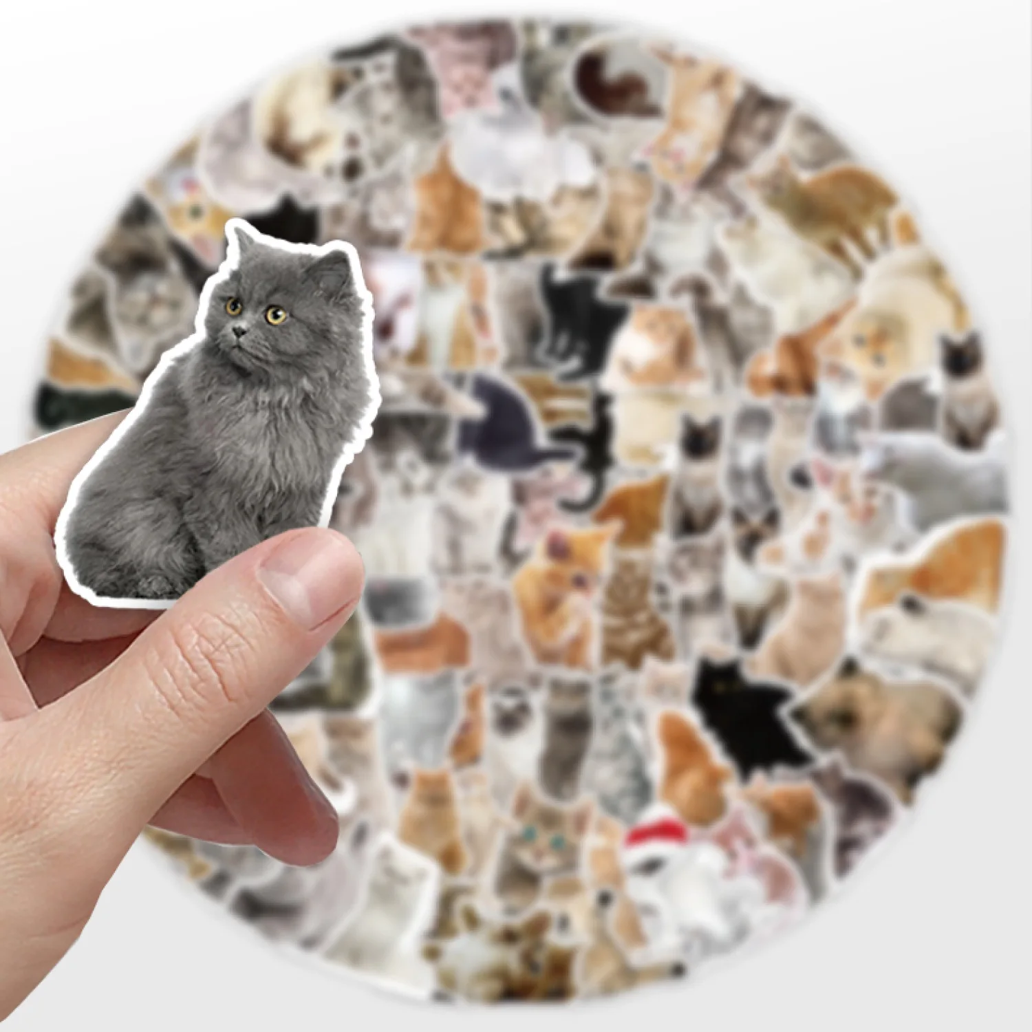 600pcs Cute Cat Stickers Kawaii Kitty Scrapbooking Stickers Journal Supplies Japanese Stationery Phone Stickers Wholesale Paper
600pcs Cute Cat Stickers Kawaii Kitty Scrapbooking Stickers Journal Supplies Japanese Stationery Phone Stickers Wholesale Paper