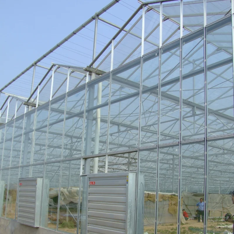 Customized greenhouseIndustrial Large Greenhouse with Polytunnel Pipe Venlo Polycarbonate PC Greenhouse Plastic Film Tunnel Gree
Customized greenhouseIndustrial Large Greenhouse with Polytunnel Pipe Venlo Polycarbonate PC Greenhouse Plastic Film Tunnel Gree