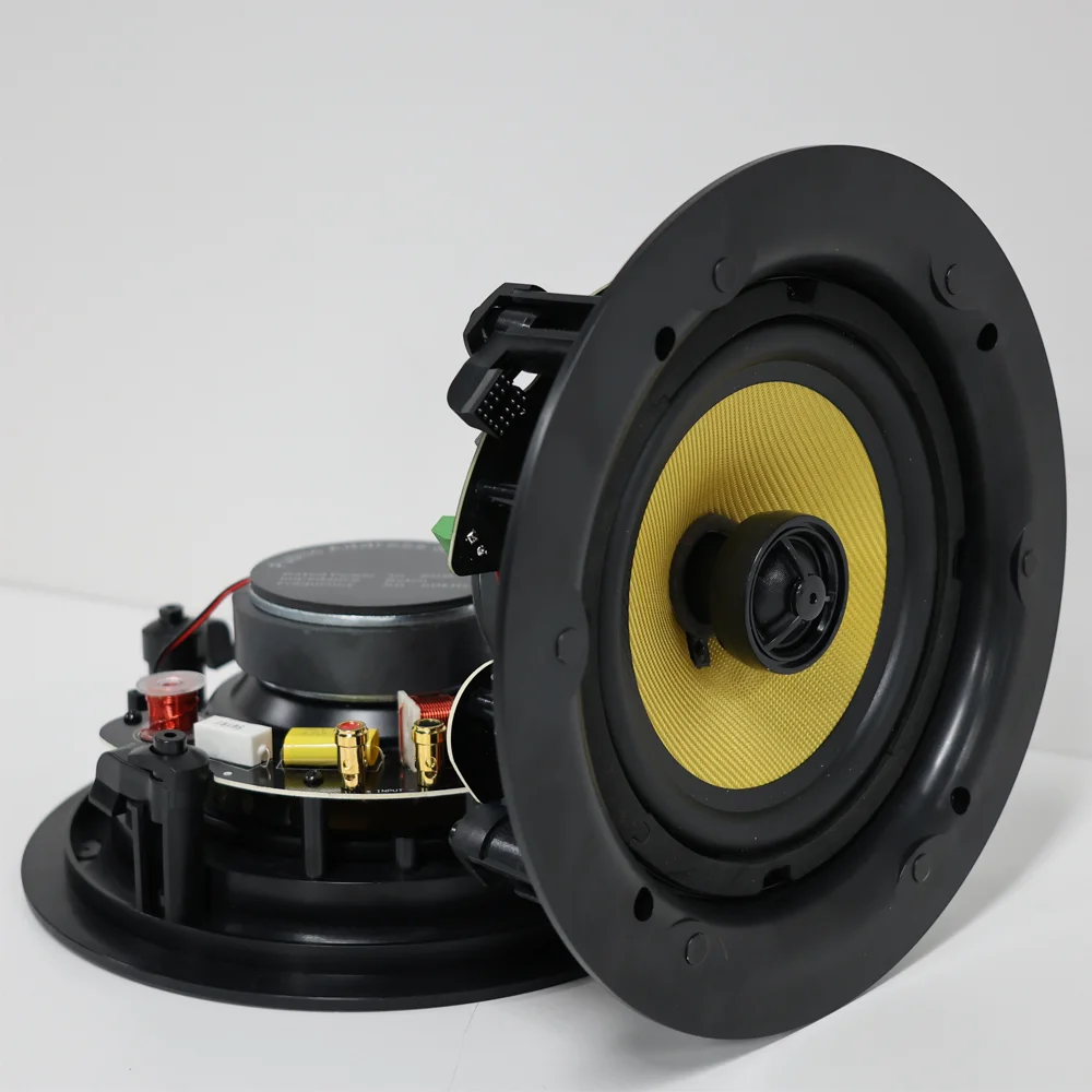 6-Inch 60W+ 1.5-Inch Tweeter For Home Theater For Bluetooth Ceiling Speaker With 120W Amplifier Supports AUX TV Connection
6-Inch 60W+ 1.5-Inch Tweeter For Home Theater For Bluetooth Ceiling Speaker With 120W Amplifier Supports AUX TV Connection