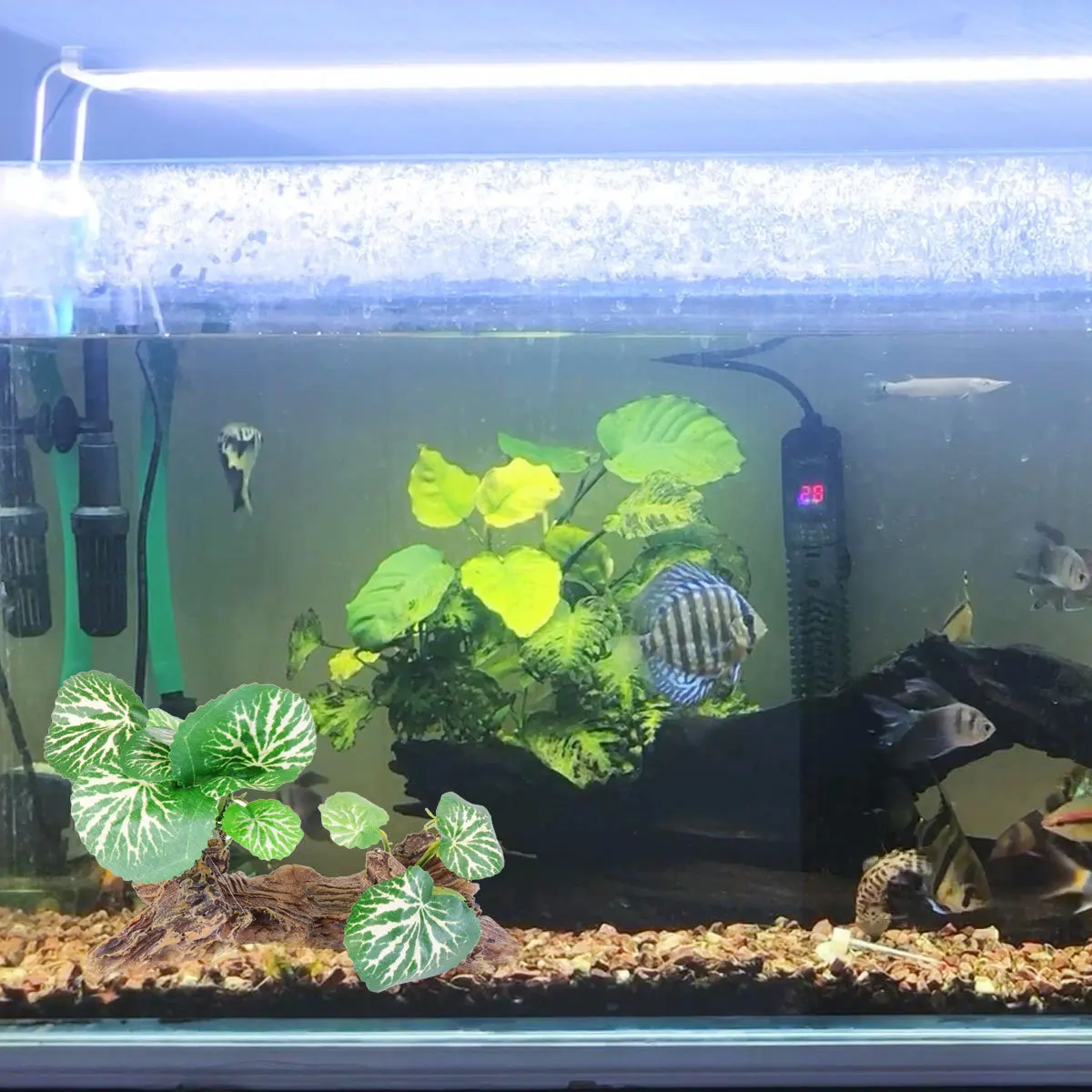 Resin Wood Grass Aquarium Sculpture Fish Tank Decoration Underwater Resin Desktop Fish Ornament Aquarium Plants Ornament 
Resin Wood Grass Aquarium Sculpture Fish Tank Decoration Underwater Resin Desktop Fish Ornament Aquarium Plants Ornament