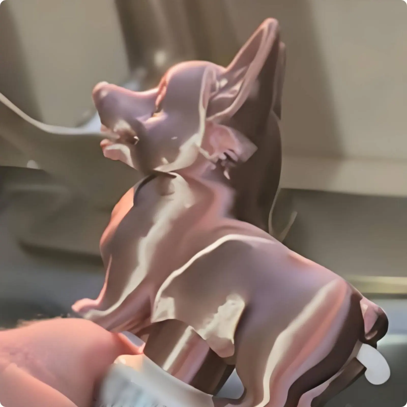 Corgi Toothpaste Cap PLA Material Bathroom Accessory
Corgi Toothpaste Cap PLA Material Bathroom Accessory