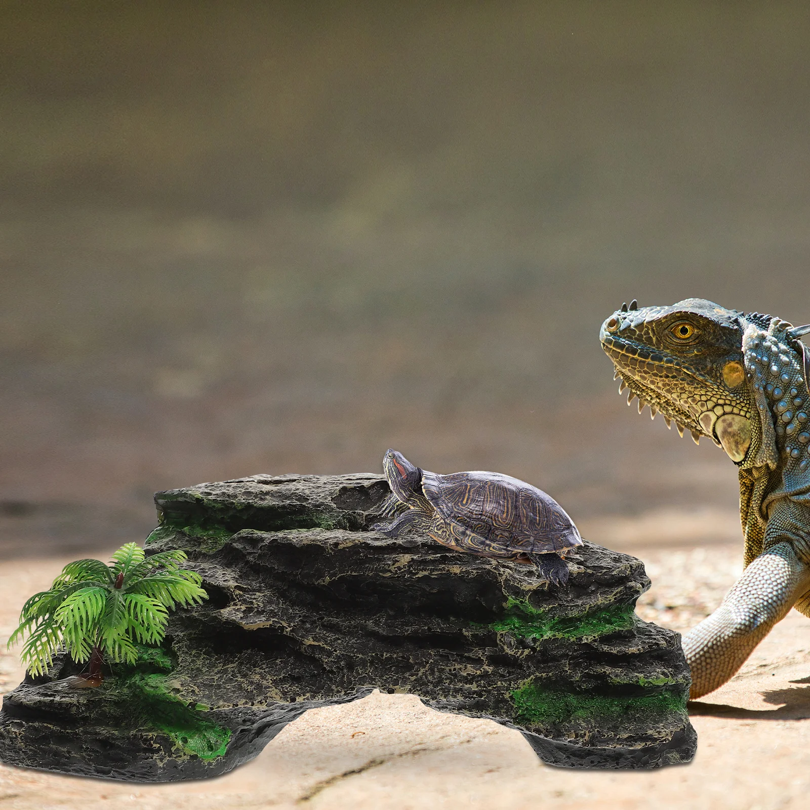 Large Turtle Basking Platform Rock for Tank Decoration Reptile Rest Stand Simulation Sunning Area Exercise Fitness Enhancement
Large Turtle Basking Platform Rock for Tank Decoration Reptile Rest Stand Simulation Sunning Area Exercise Fitness Enhancement