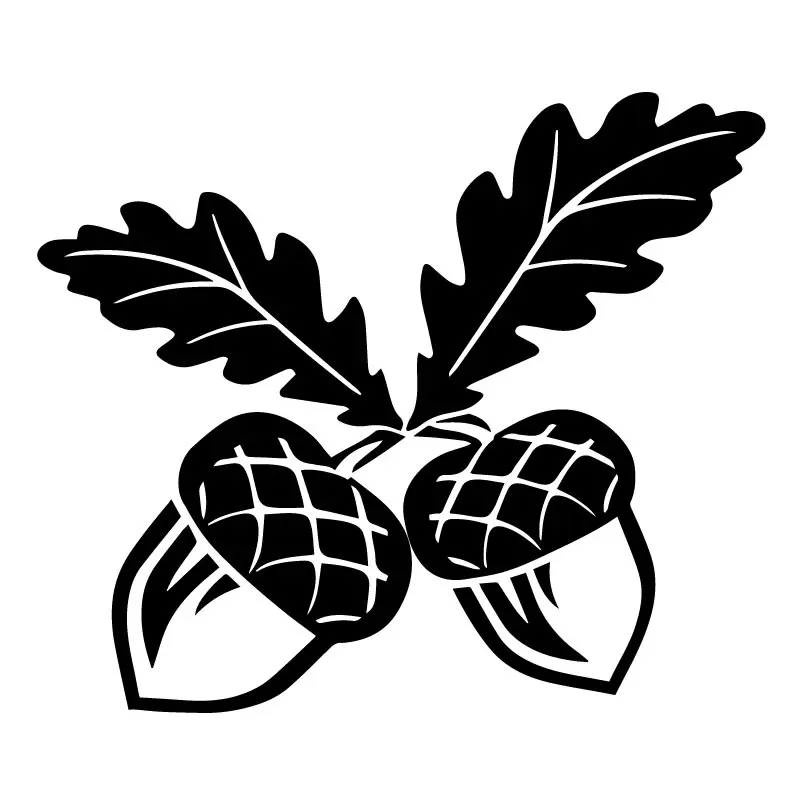 Oak Tree Acorn Nature Leaves Window Waterproof and Sunscreen Vinyl Decals Car Sticker Accessories,17CM*14CM
Oak Tree Acorn Nature Leaves Window Waterproof and Sunscreen Vinyl Decals Car Sticker Accessories,17CM*14CM
