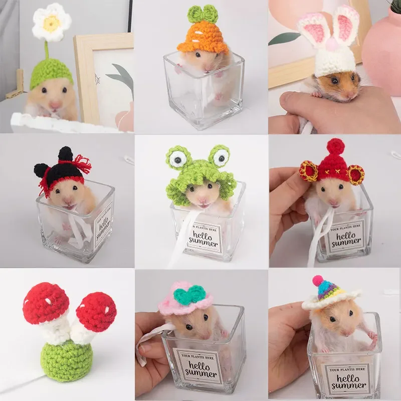 Hamster Hat Guinea Pigs Assessories Small Animals Decor Hand Knitted Pet Hats Lizard Bird Rabbit Party Clothes Costume Pet Caps
Hamster Hat Guinea Pigs Assessories Small Animals Decor Hand Knitted Pet Hats Lizard Bird Rabbit Party Clothes Costume Pet Caps